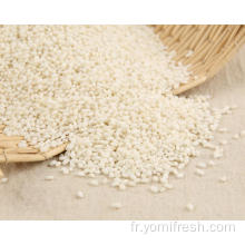 Grain de riz collant